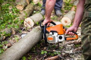 jaka piła łańcuchowa akumulatorowa