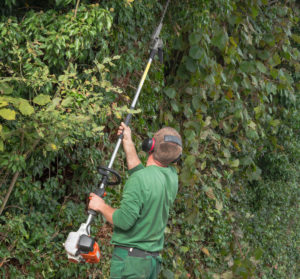 nożyce do żywopłotu spalinowe opinie