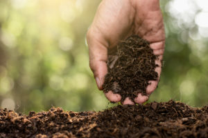 glebogryzarka spalinowa opinie