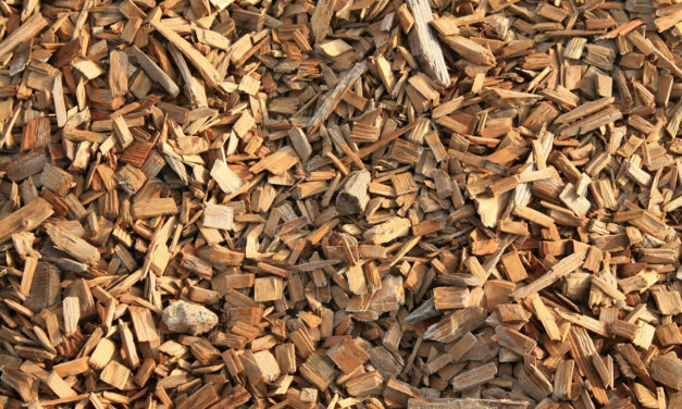 Jaką łuparkę do drewna wybrać w 2024 – Nasze Opinie oraz Ranking