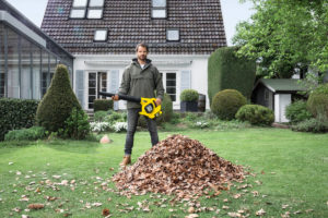 opadłe liście w ogrodzie