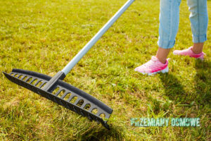 grabie do wyczesywania suchej trawy