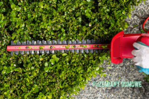 sekator elektryczny akumulatorowy