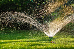 Podlewanie ogrodu – 4 wskazówki jak podlewać trawnik