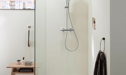 Prysznic do łazienki: jak wybrać nowoczesną kabinę prysznicową?